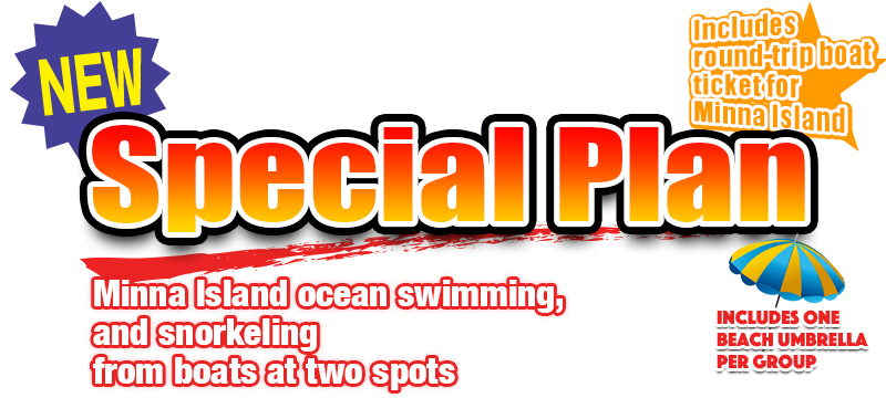 special_plan