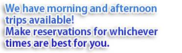 午前・午後便をご用意！お客様に合わせてご予約できます。