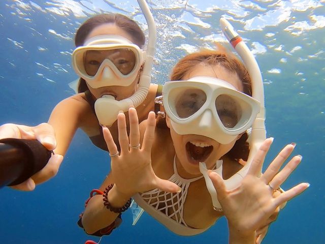 本島北部・瀬底島体験ダイビング＋シュノーケリング 画像01