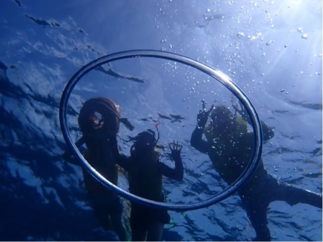 本島北部・瀬底島体験ダイビング＋シュノーケリング 画像03