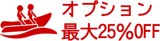 オプション最大50％OFF