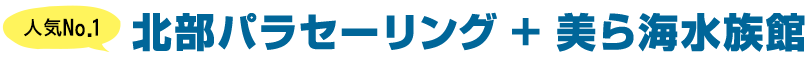 【人気No.1】北部パラセーリング ＋ 美ら海水族館