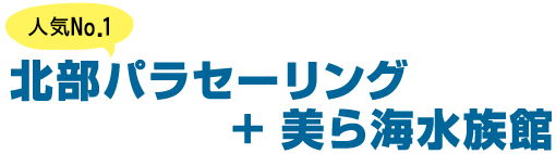【人気No.1】北部パラセーリング ＋ 美ら海水族館