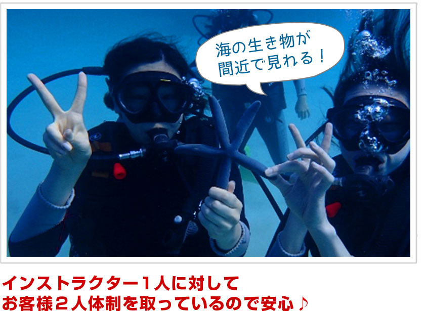 体験ダイビング