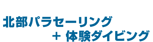 【人気沸騰！】北部パラセーリング ＋ 体験ダイビング