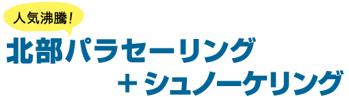 【人気沸騰！】北部パラセーリング ＋ シュノーケリング or SUP
