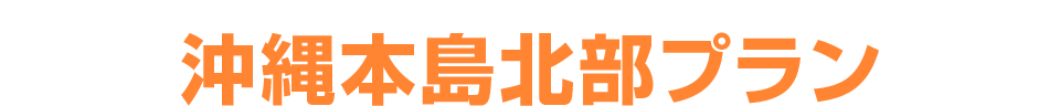 沖縄本島北部・瀬底島沖プラン