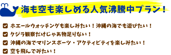 海も空も楽しめる人気沸騰中プラン！