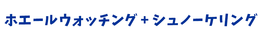 ホエールウォッチング ＋ シュノーケル