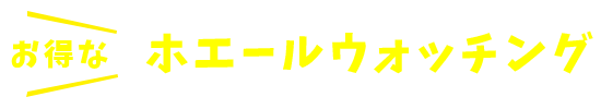 お得なホエールウォッチング
