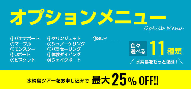 オプションメニュー