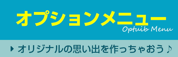 オプションメニュー