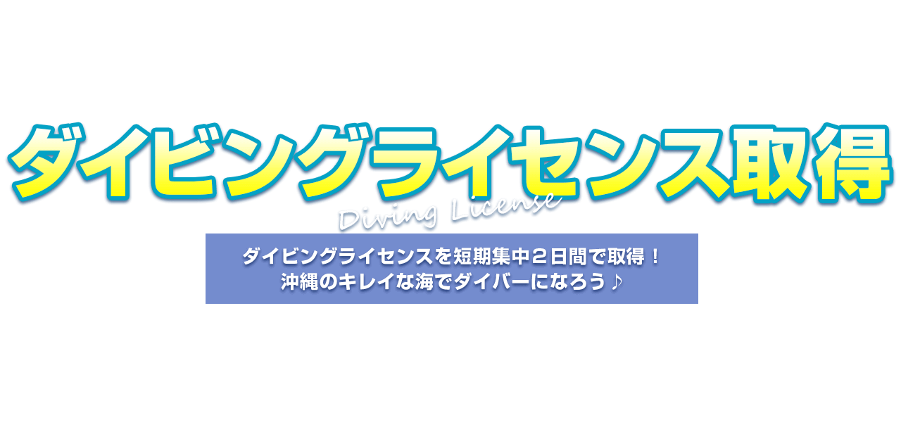 ダイビングライセンス取得 マリンショップ マーメイド 沖縄 水納島 パラセ リング ホエールウォッチング