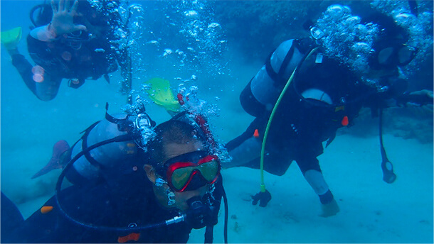 水納島短期集中プラン