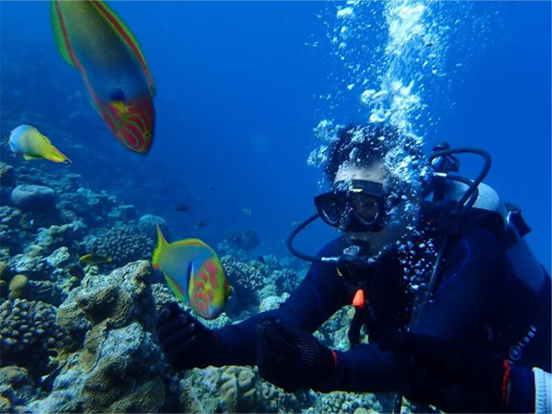 ファンダイビングイメージ画像