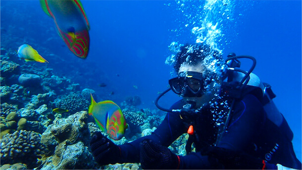 体験ダイビング