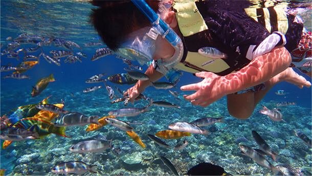 シュノーケリング