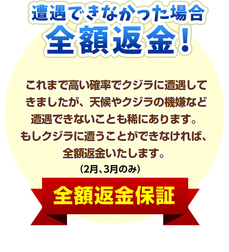 遭遇できなかった場合全額返金