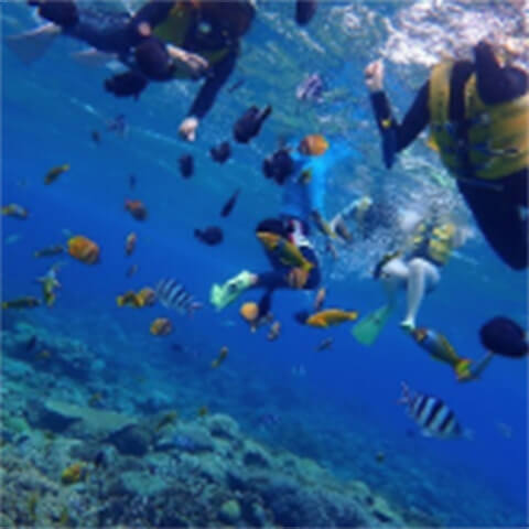 マリンショップマーメイド Instagramの画像01