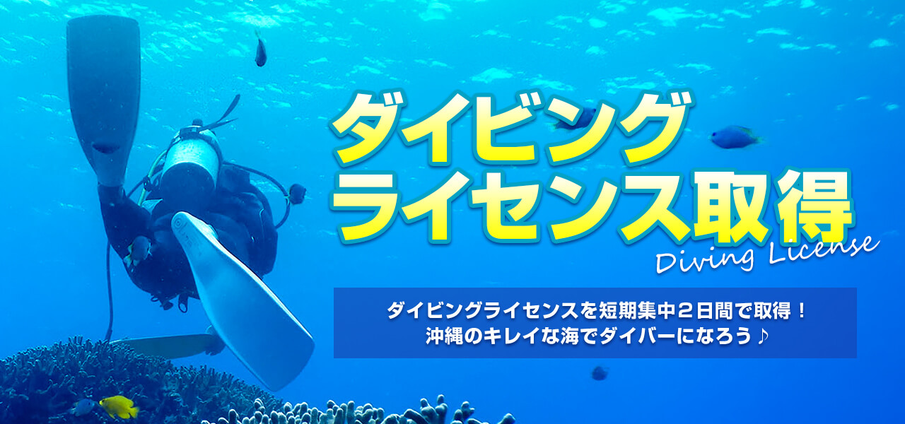 沖縄でダイビングライセンスが短期集中2日間で取得できる!