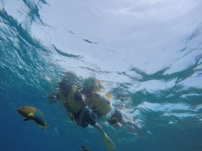 DCIM100GOPROGOPR0185.