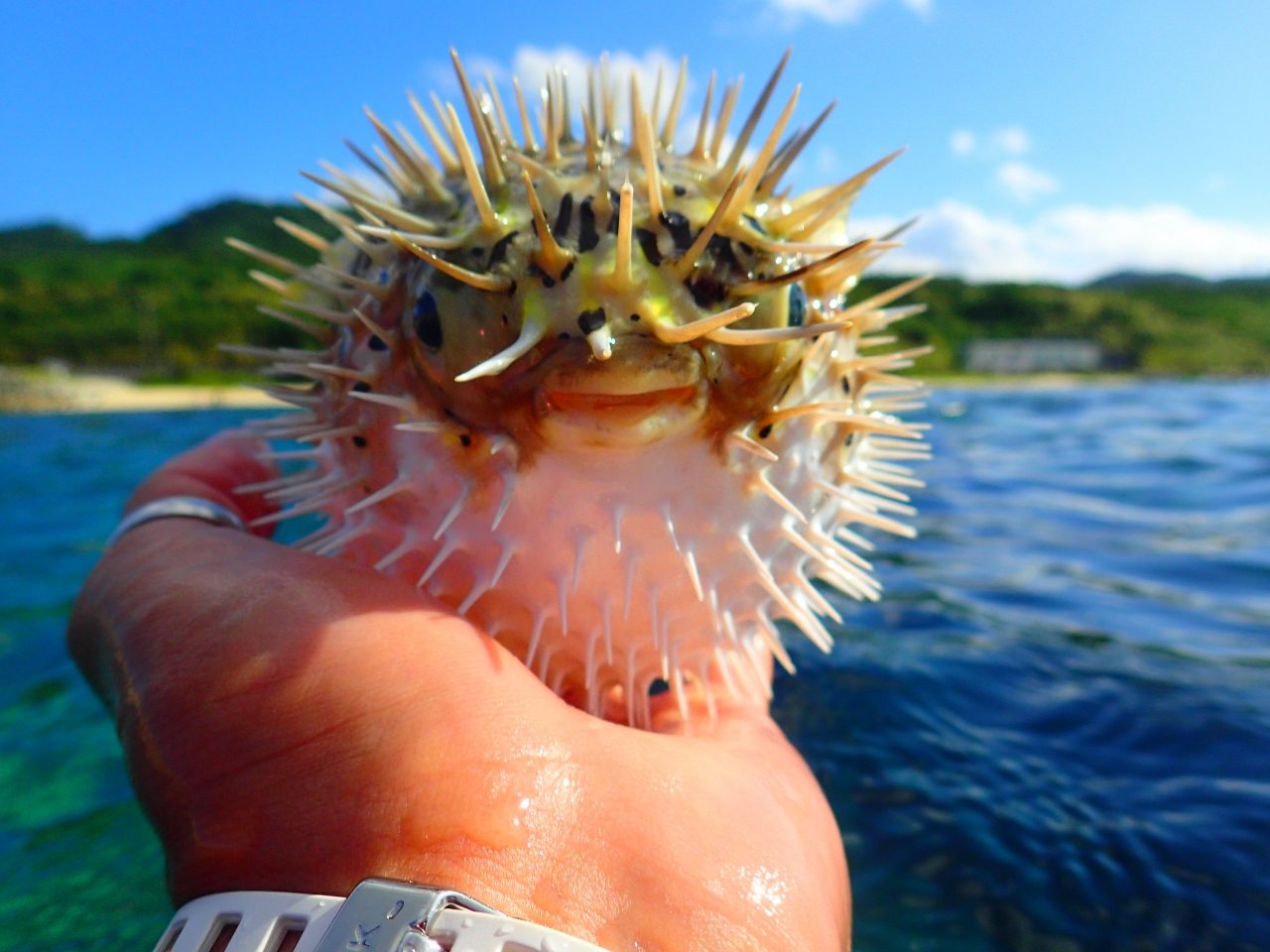 メチャいい天気です☀【沖縄マリンスポーツ専門店★水納島マーメイド】