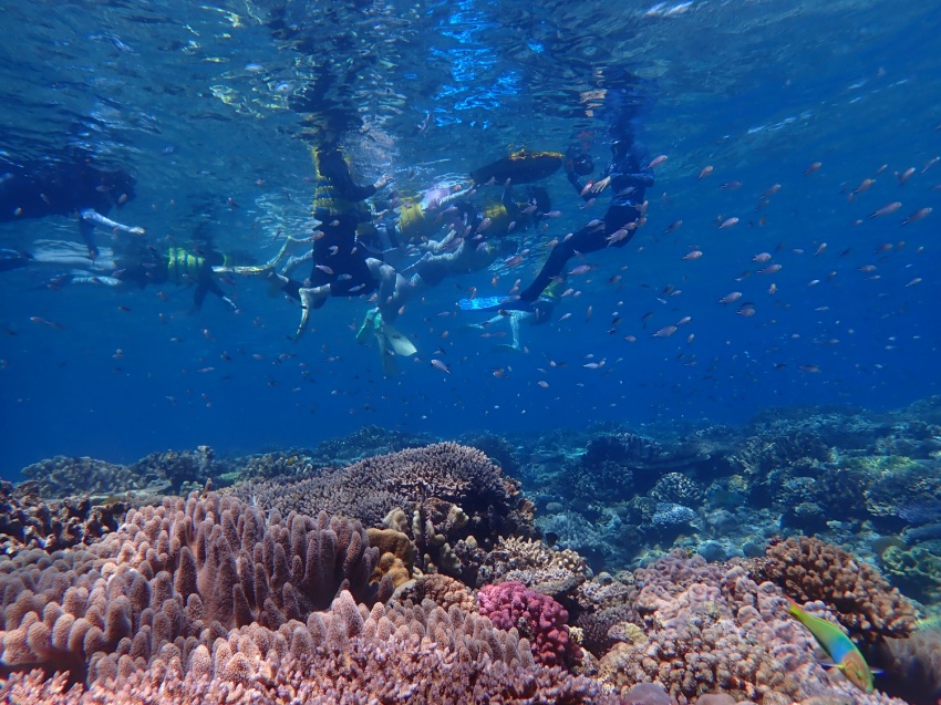 🐠海の中は別世界🐡【沖縄マリンスポーツ専門店★水納島マーメイド】