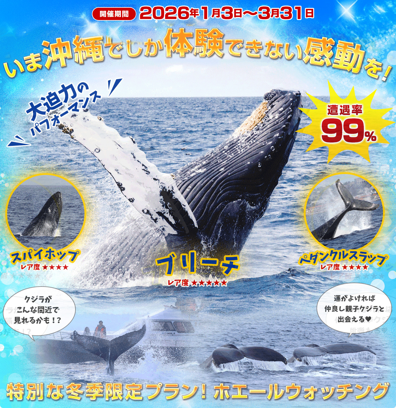 いま沖縄でしか体験できない感動を!特別な冬季限定プラン!ホエールウォッチング