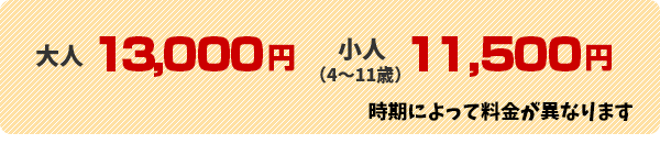 プラン料金