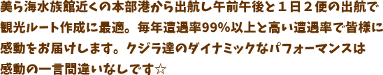 クジラと水族館が楽しめる大人気プラン！