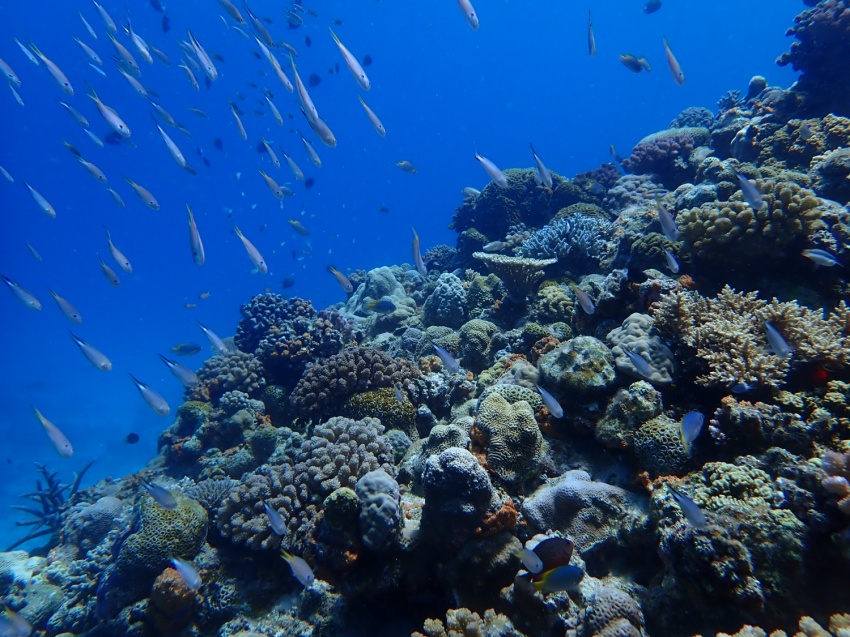 🌀台風接近中🌀【沖縄マリンスポーツ専門店★水納島マーメイド】
