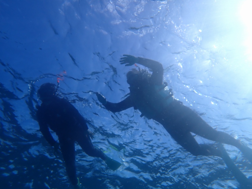 おさかな天国🐡【沖縄マリンスポーツ専門店★水納島マーメイド】