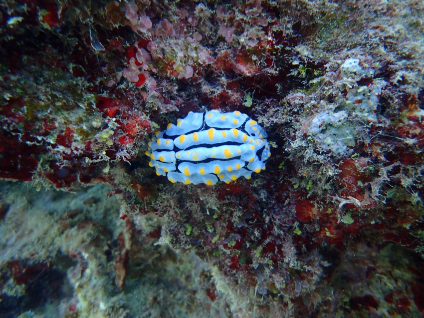 とってもいい天気☀【沖縄マリンスポーツ専門店★水納島マーメイド】
