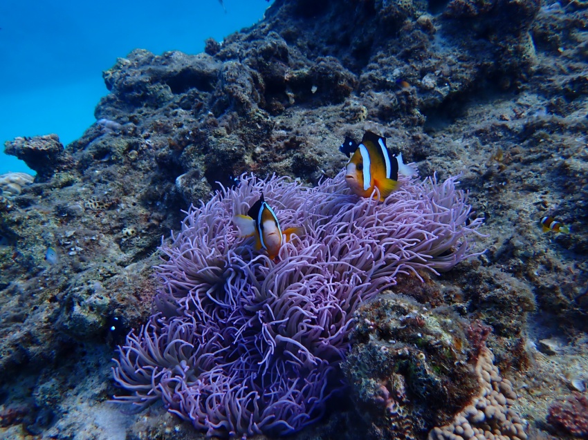 いいお天気になったのに🌞【沖縄マリンスポーツ専門店★水納島マーメイド】