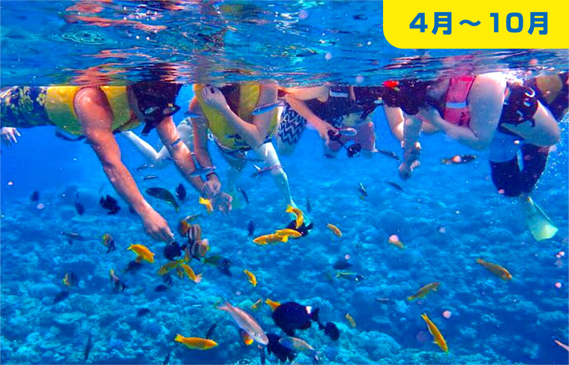 シュノーケリングの画像