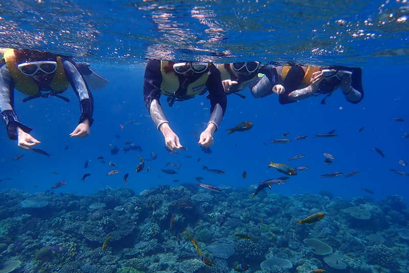 本島北部 体験ダイビング