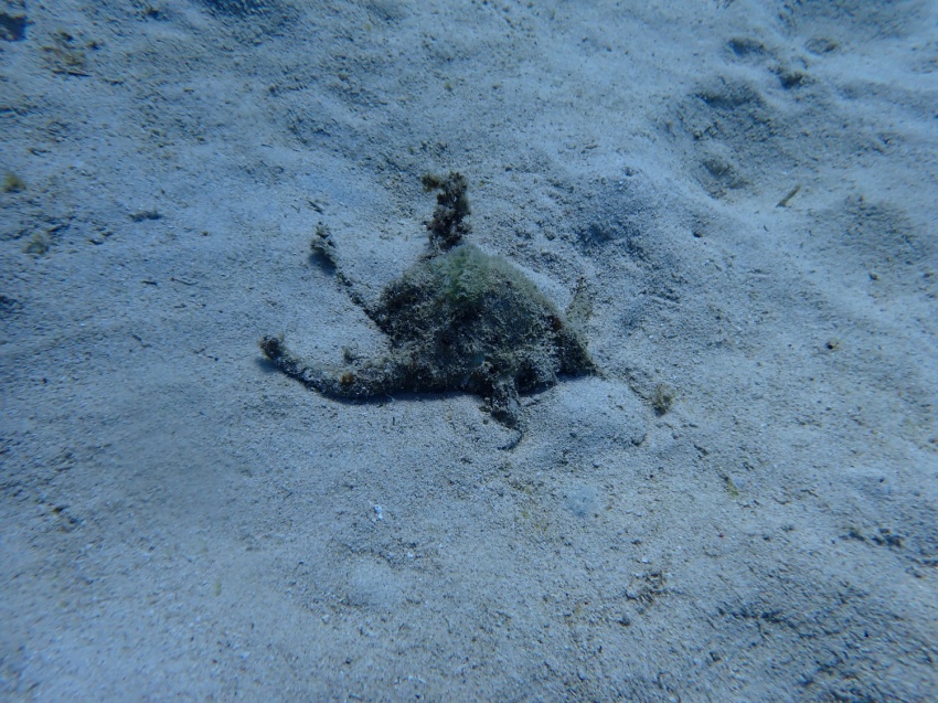 北風が…🌬️【沖縄マリンスポーツ専門店★水納島マーメイド】