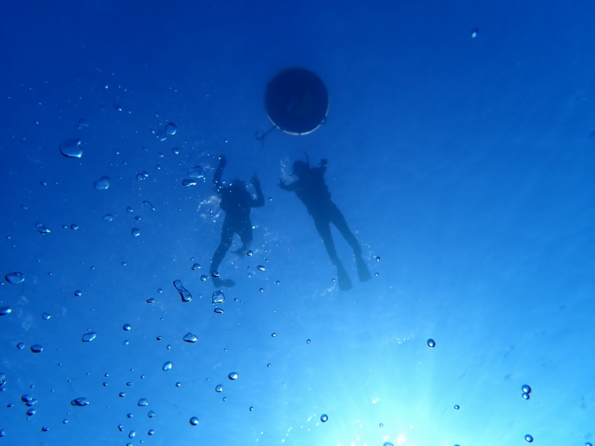 NAHAマラソン🏃【沖縄マリンスポーツ専門店★水納島マーメイド】