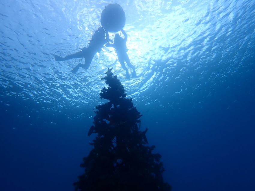 ゴリラチョップ🦍🦍🦍【沖縄マリンスポーツ専門店★水納島マーメイド】