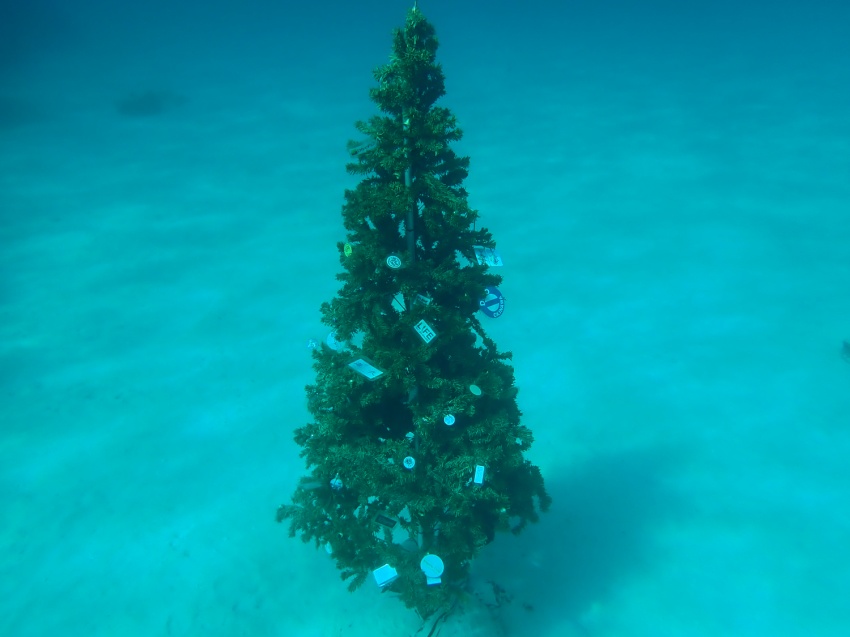 ぽかぽか陽気🌞【沖縄マリンスポーツ専門店★水納島マーメイド】