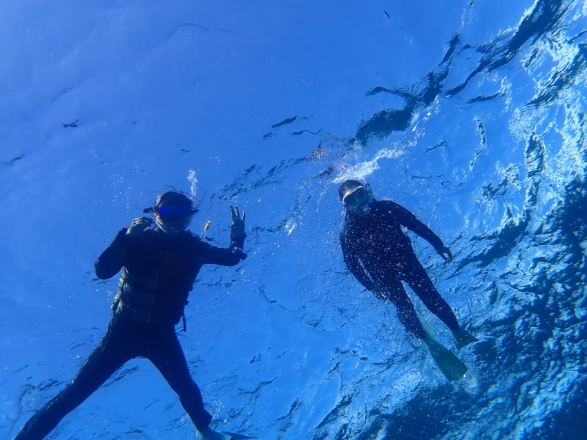 今日もシュノーケリング日和🌞【沖縄マリンスポーツ専門店★水納島マーメイド】