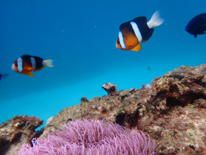 寒いけど晴れてる😯【沖縄マリンスポーツ専門店★水納島マーメイド】