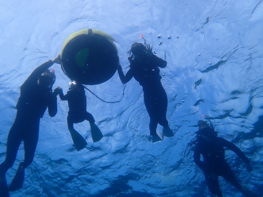 寒い天気続き【沖縄マリンスポーツ専門店★水納島マーメイド】