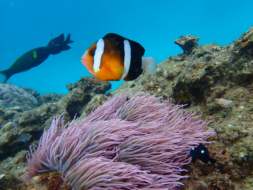 うりずんへ☘️【沖縄マリンスポーツ専門店★水納島マーメイド】