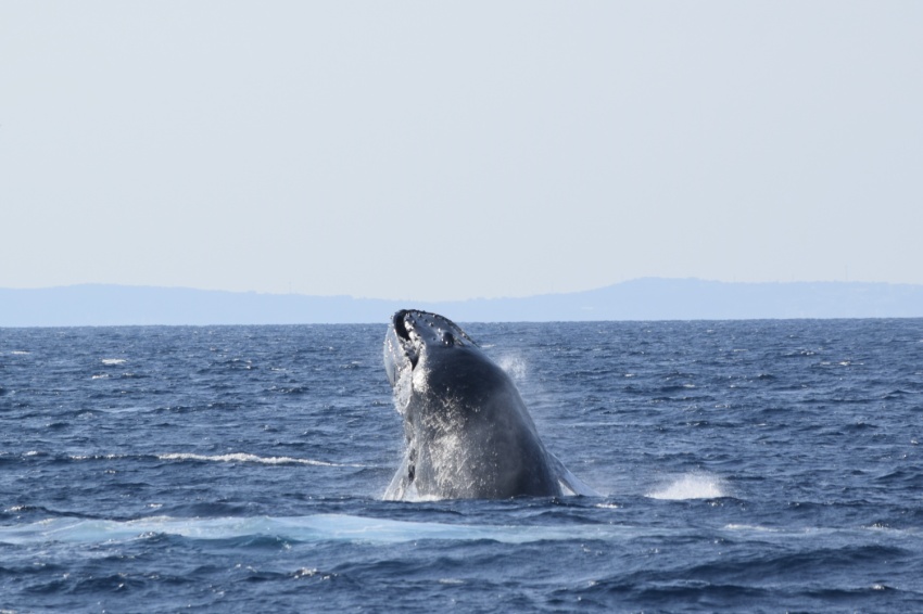 引続きいい天気☀【沖縄マリンスポーツ専門店★水納島マーメイド】
