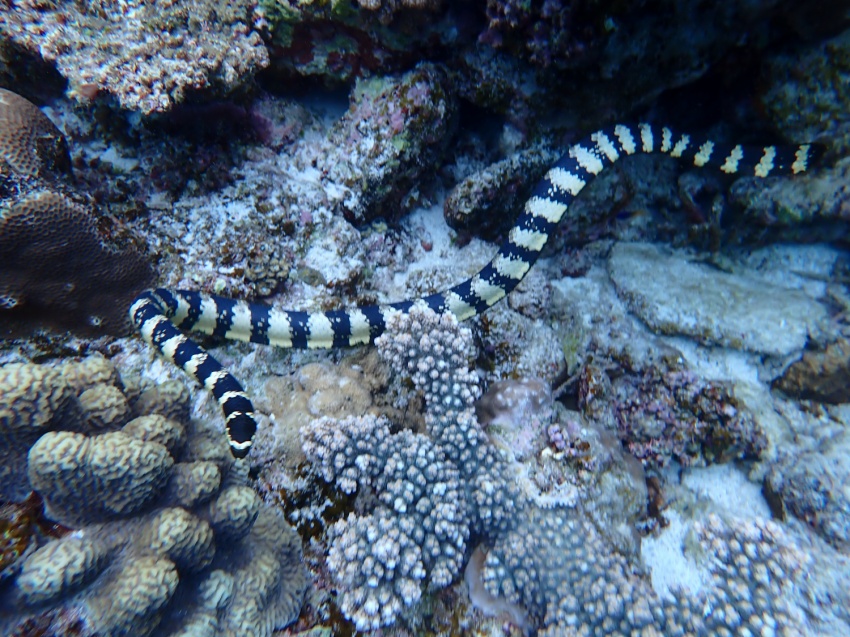 雨雲沢山でした！！【沖縄マリンスポーツ専門店★水納島マーメイド】