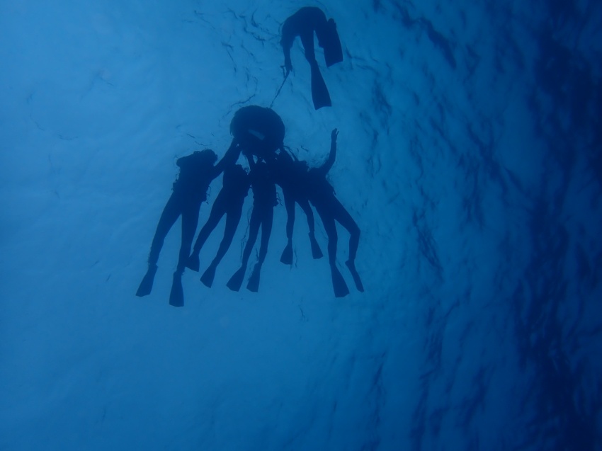 シュノーケリング🥽【沖縄マリンスポーツ専門店★水納島マーメイド】