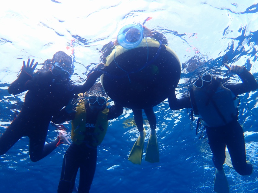 透明度抜群！！【沖縄マリンスポーツ専門店★水納島マーメイド】