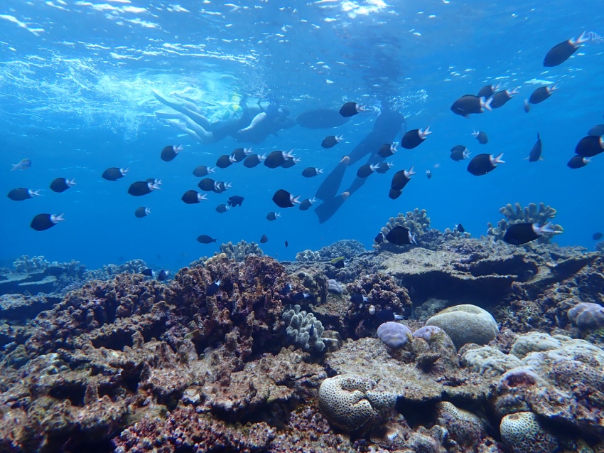 午前と午後で大違い🌻【沖縄マリンスポーツ専門店★水納島マーメイド】