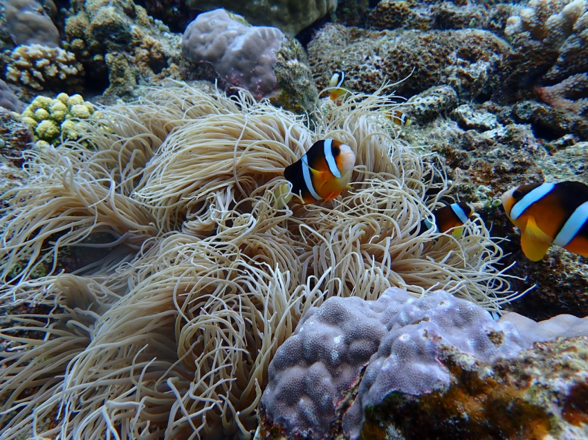 嵐のようなお天気🌀【沖縄マリンスポーツ専門店★水納島マーメイド】